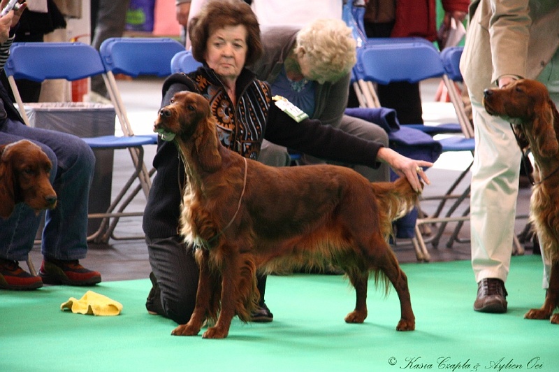 Crufts2011 226.jpg